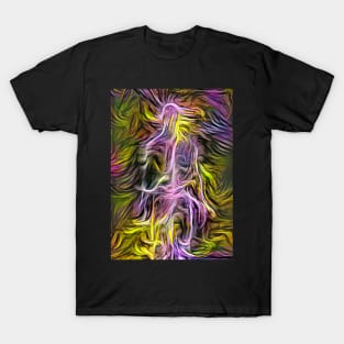 Colors of spirit T-Shirt